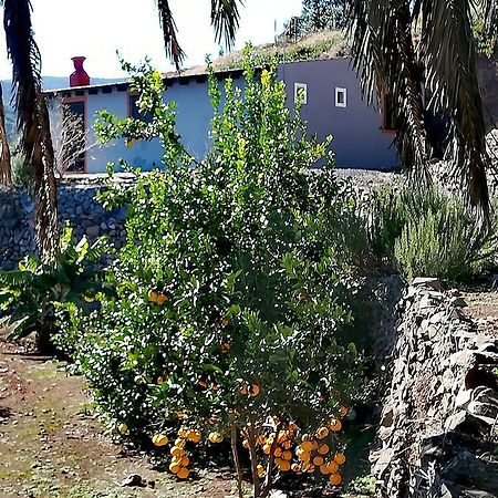 Casa La Montana Villa El Cedro Kültér fotó