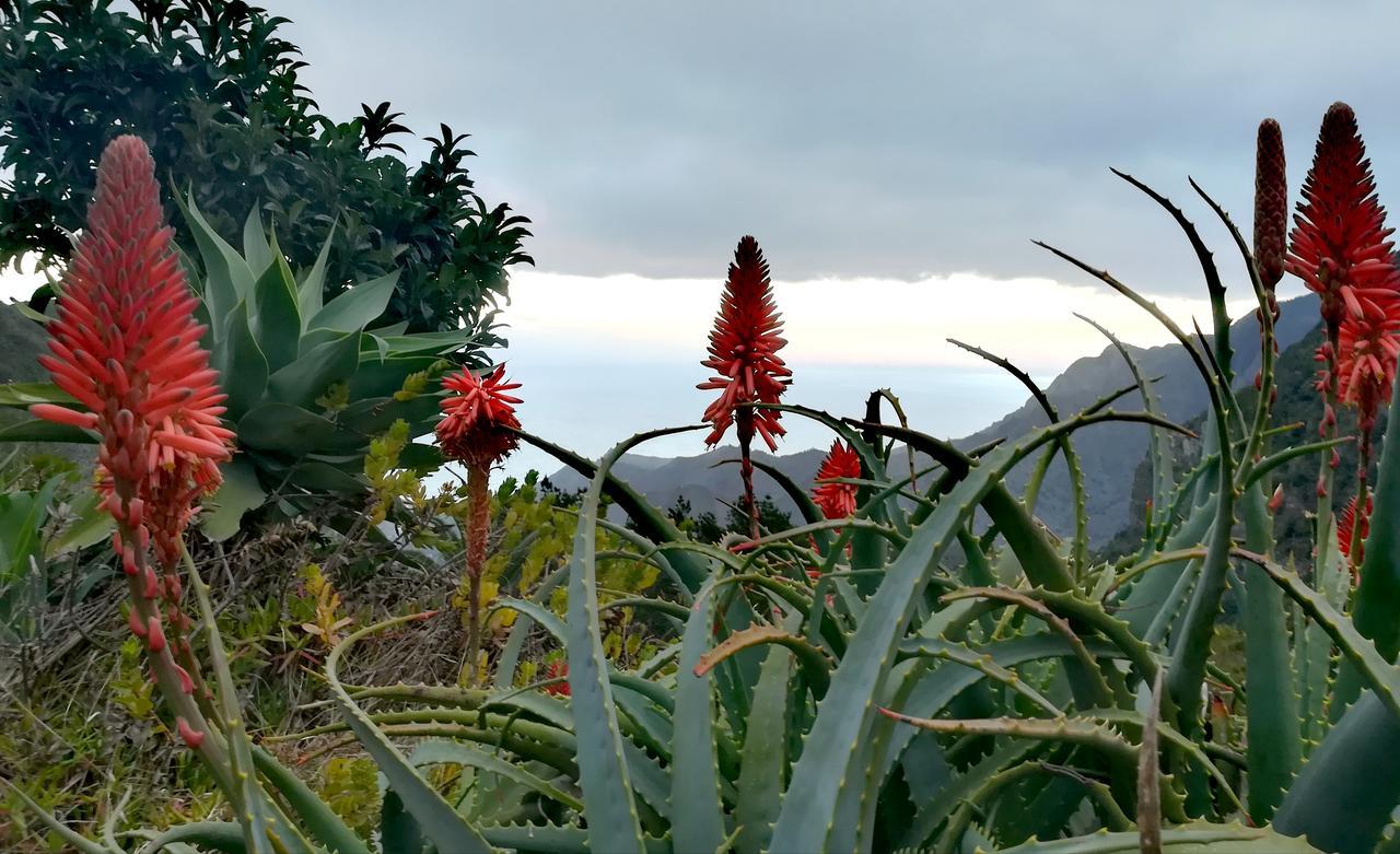 Casa La Montana Villa El Cedro Kültér fotó