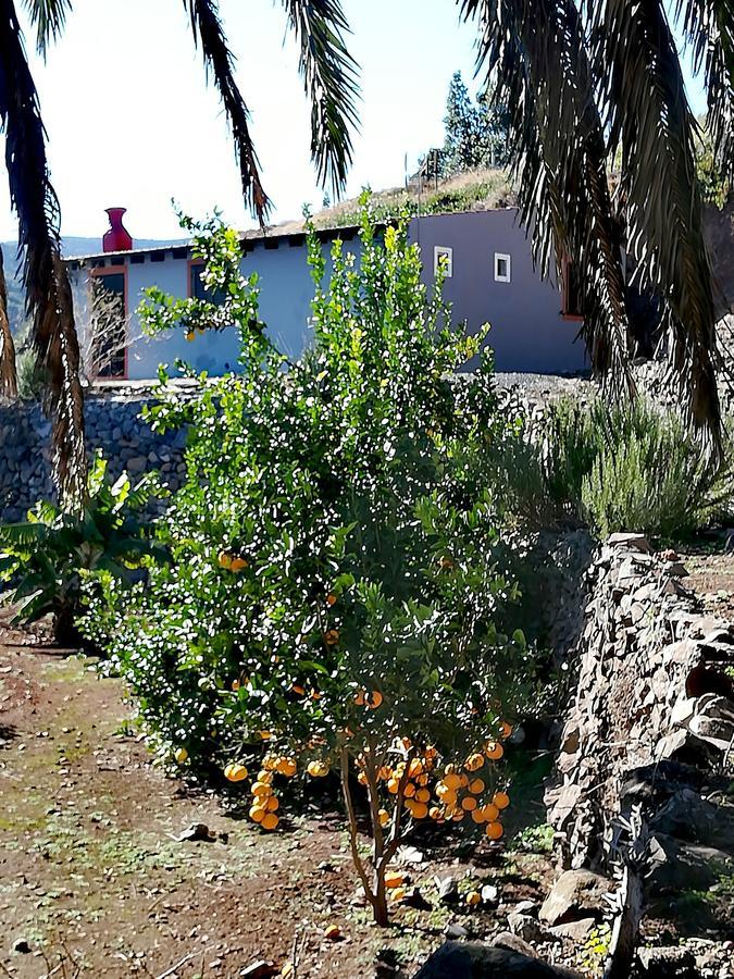 Casa La Montana Villa El Cedro Kültér fotó